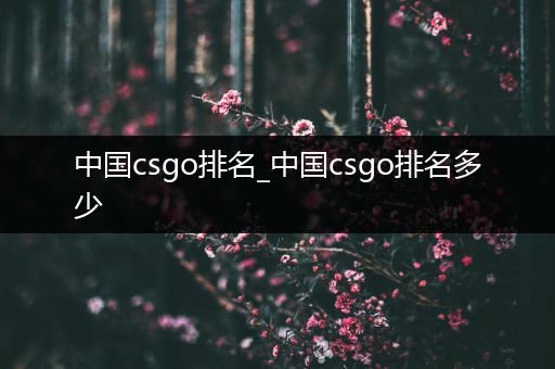 中国csgo排名_中国csgo排名多少