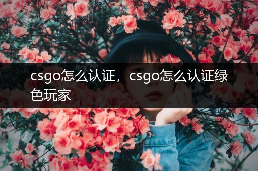 csgo怎么认证，csgo怎么认证绿色玩家