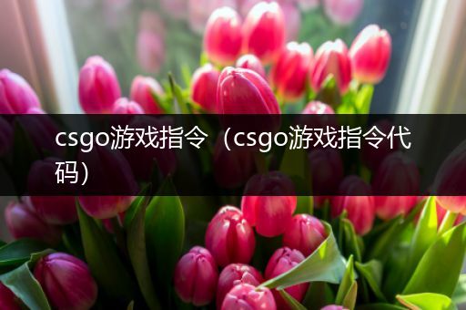 csgo游戏指令（csgo游戏指令代码）