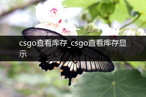 csgo查看库存_csgo查看库存显示