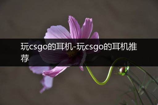 玩csgo的耳机-玩csgo的耳机推荐