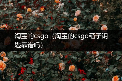 淘宝的csgo（淘宝的csgo箱子钥匙靠谱吗）