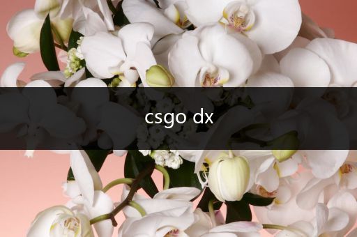 csgo dx