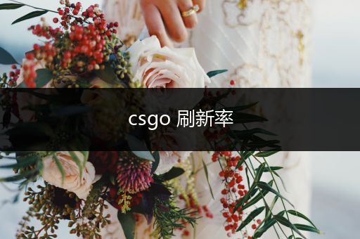 csgo 刷新率