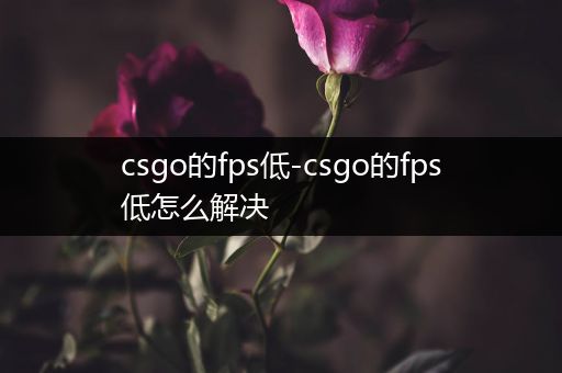 csgo的fps低-csgo的fps低怎么解决