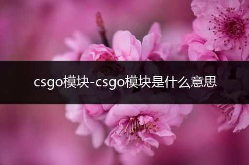 csgo模块-csgo模块是什么意思