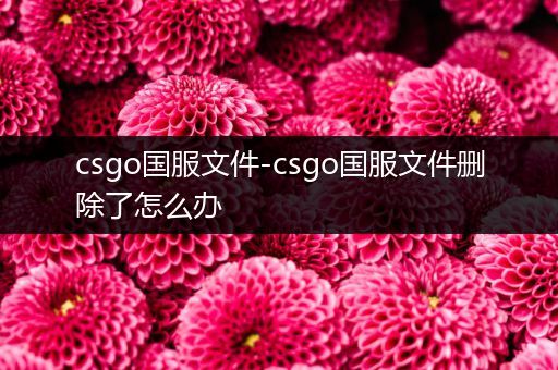 csgo国服文件-csgo国服文件删除了怎么办