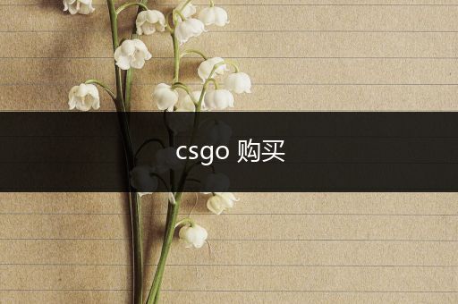 csgo 购买