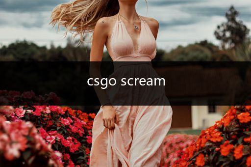 csgo scream