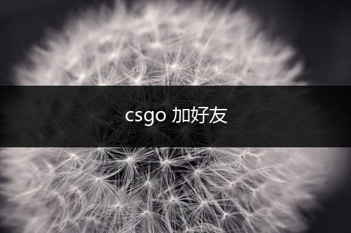 csgo 加好友