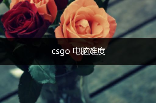 csgo 电脑难度