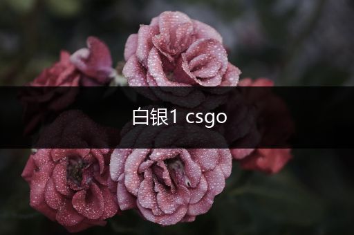 白银1 csgo