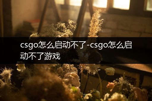 csgo怎么启动不了-csgo怎么启动不了游戏