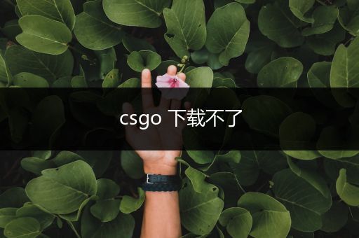 csgo 下载不了