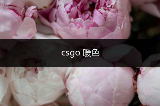 csgo 暖色