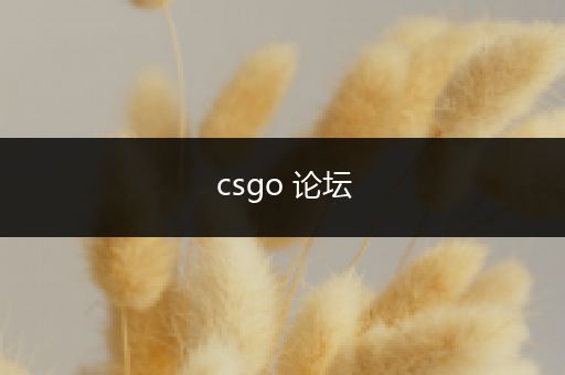 csgo 论坛