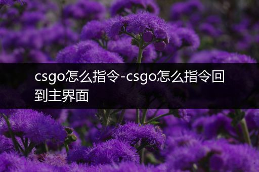 csgo怎么指令-csgo怎么指令回到主界面