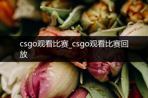 csgo观看比赛_csgo观看比赛回放