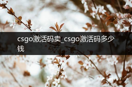 csgo激活码卖_csgo激活码多少钱