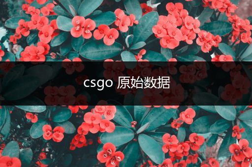 csgo 原始数据