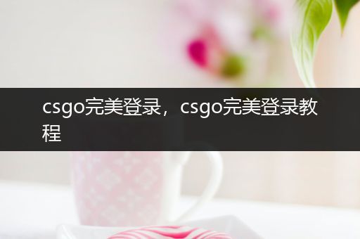 csgo完美登录，csgo完美登录教程