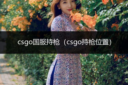 csgo国服持枪（csgo持枪位置）