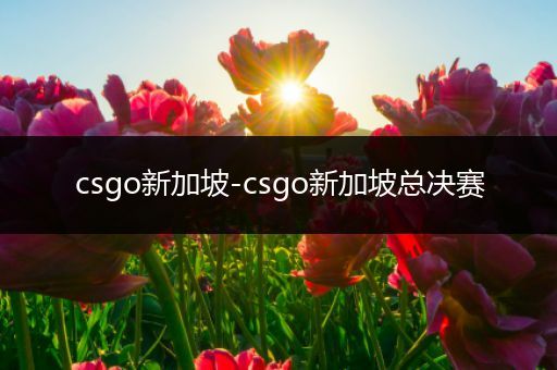 csgo新加坡-csgo新加坡总决赛