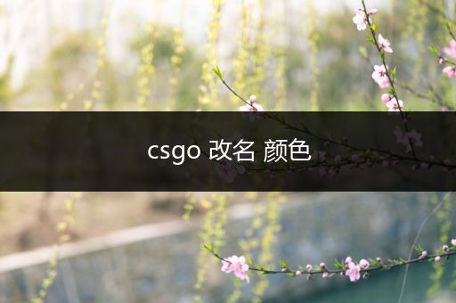 csgo 改名 颜色