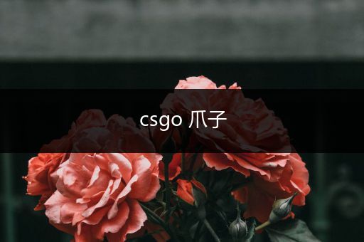 csgo 爪子