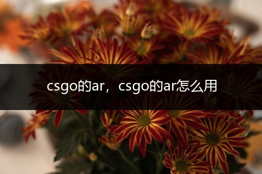 csgo的ar，csgo的ar怎么用