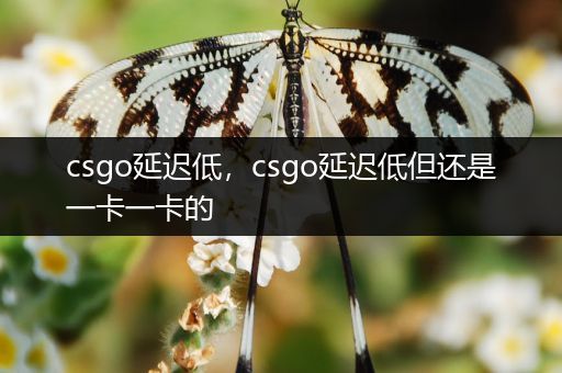 csgo延迟低，csgo延迟低但还是一卡一卡的