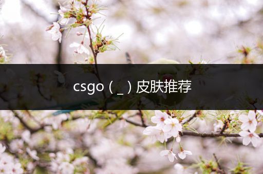 csgo ( _ ) 皮肤推荐