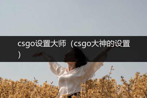 csgo设置大师（csgo大神的设置）