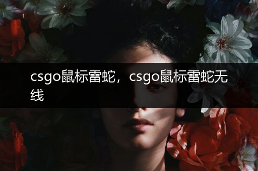 csgo鼠标雷蛇，csgo鼠标雷蛇无线