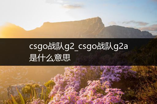 csgo战队g2_csgo战队g2a是什么意思