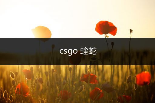 csgo 蝰蛇