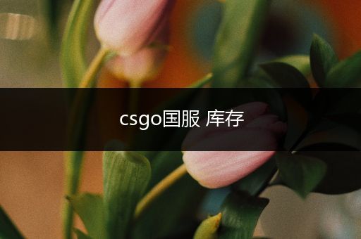 csgo国服 库存