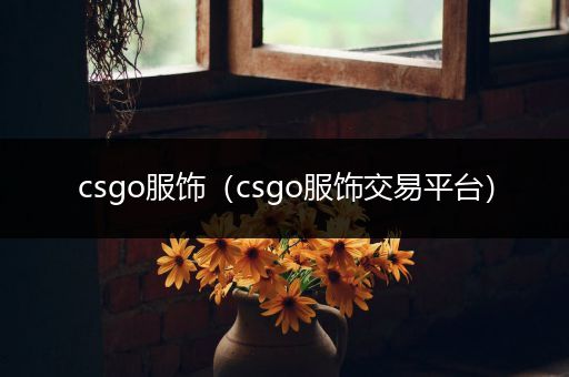 csgo服饰（csgo服饰交易平台）