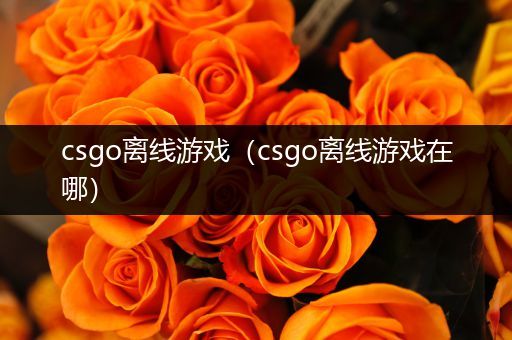 csgo离线游戏（csgo离线游戏在哪）