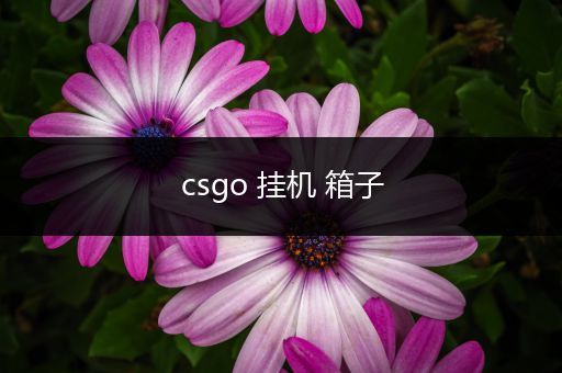 csgo 挂机 箱子