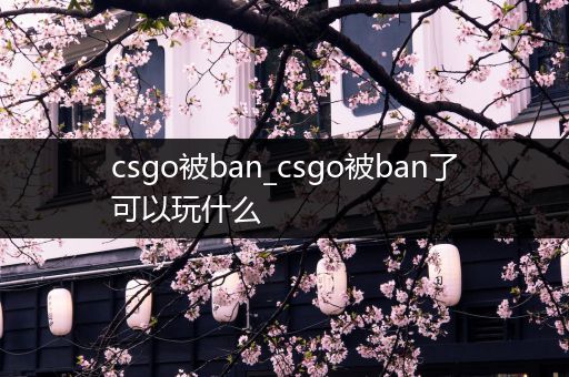 csgo被ban_csgo被ban了可以玩什么