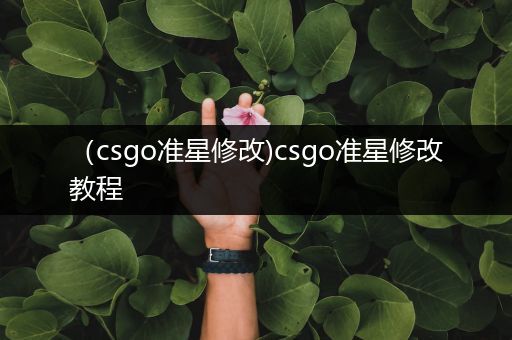 （csgo准星修改)csgo准星修改教程