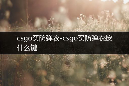 csgo买防弹衣-csgo买防弹衣按什么键