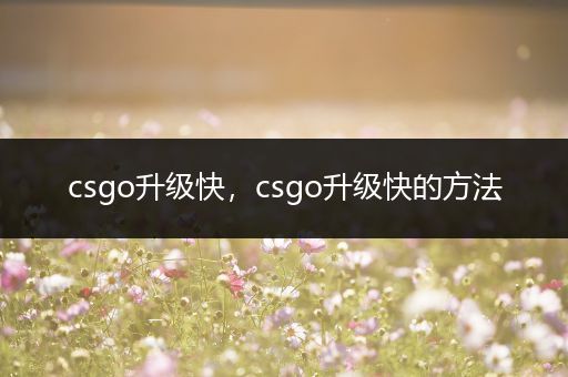 csgo升级快，csgo升级快的方法