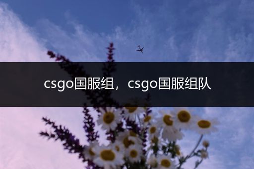 csgo国服组，csgo国服组队