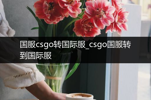 国服csgo转国际服_csgo国服转到国际服