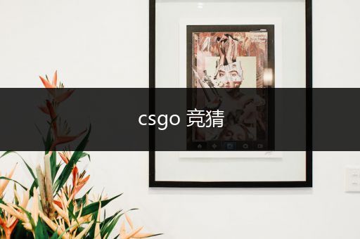 csgo 竞猜