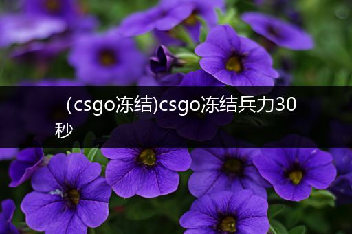 （csgo冻结)csgo冻结兵力30秒