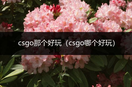 csgo那个好玩（csgo哪个好玩）