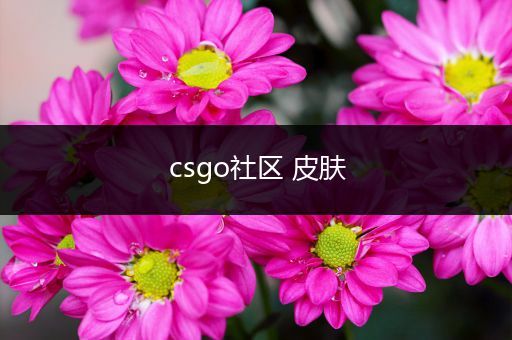 csgo社区 皮肤